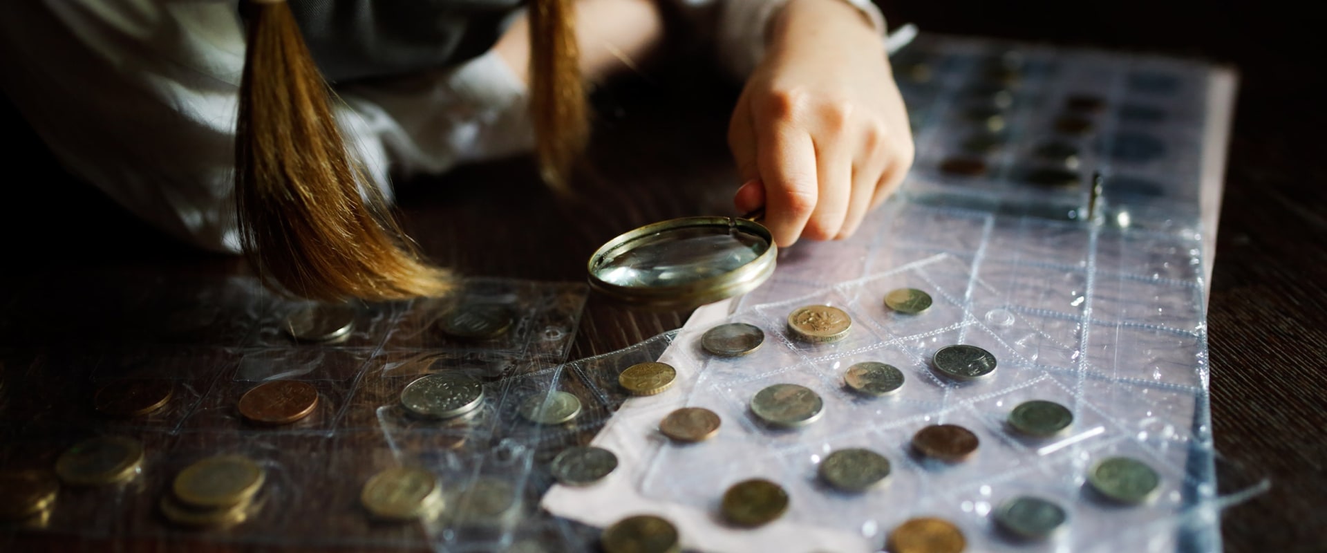 The Fascinating World of Numismatics: A Closer Look at Coin Collecting